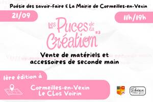 photo LES PUCES DE LA CREATION