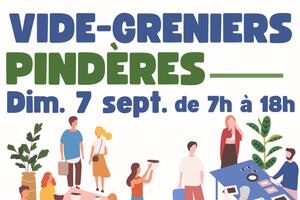 photo vide grenier concert