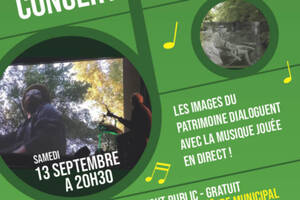 photo Ciné concert Les passagers du marais