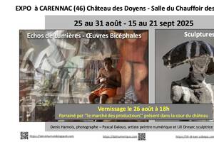 photo ECHOS DE LUMIERES-OEUVRES BICEPHALES