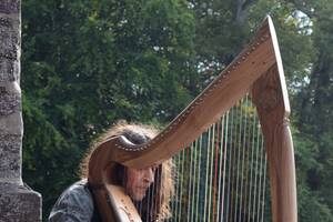 photo Christophe Guillemot harpeur luthier joue sur les harpes celtiques qu'il a fabriqué