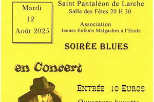 Concert de Blues