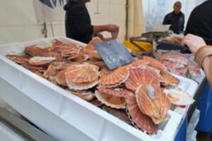 photo Fête de la coquille