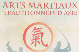 photo Salon des arts martiaux traditionnels d’Asie