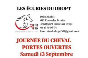 photo Journée du cheval aux Ecuries du Dropt