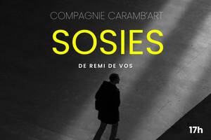 photo THEATRE Sosies de Rémi De Vos