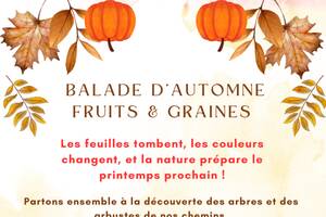 photo BALADE D'AUTOMNE : à la découverte des fruits et des graines