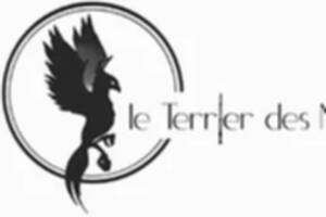 photo soirée cocktail dinatoire le terrier tout est permis