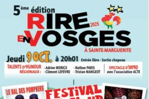 photo 5-eme-festival-rire-en-vosges