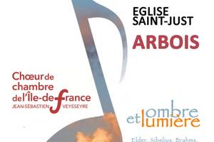 photo Concert Choeur de Chambre de l'ile de France