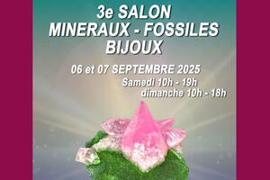 photo Salon minéraux, fossiles, bijoux de créateur.