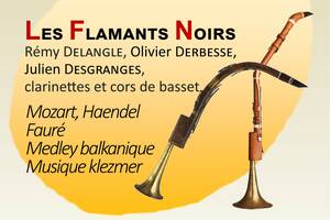 photo Les Flamants Noirs