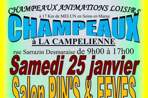 photo Salon MULTICOLLECTIONS du 25/01/2026 à Champeaux (77)