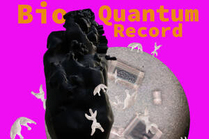 photo Exposition BioQuantum Record