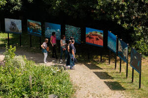 photo Visites Flash & Initiations Cyanotype