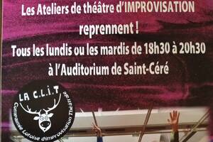 photo ATELIERS THEATRE IMPROVISATION