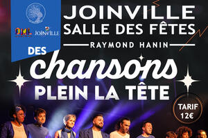 photo CONCERT : Des Chansons plein la tête