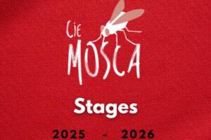photo Stages :