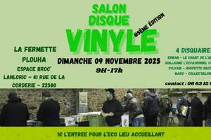 photo Salon Disque Vinyle