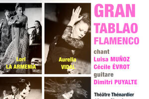 photo Gran tablao flamenco !