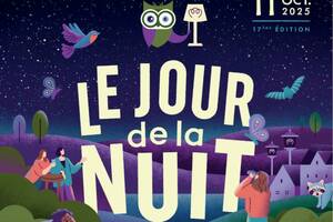 photo Balade nocturne insolite à la découverte des animaux et des étoiles