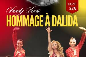 photo Show Hommage à Dalida