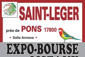 photo EXPOSITION BOURSE AUX OISEAUX