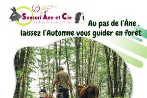 photo Balade d'Automne au pas de l'Âne