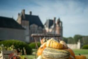 Ateliers creusage de citrouilles