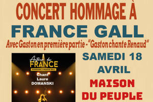 Concert en hommage à France Gall