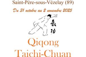 photo STAGE DE QIQONG et TAICHI CHUAN