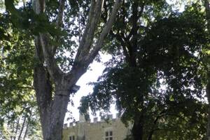 photo Le Pontet des origines à nos jours