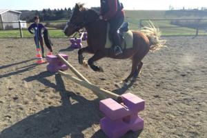 Séjours enfants/ Mini camps