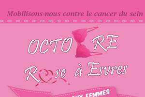 photo Octobre Rose à Esvres : exposition photos