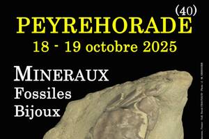 photo 1er SALON MINERAUX FOSSILES BIJOUX
