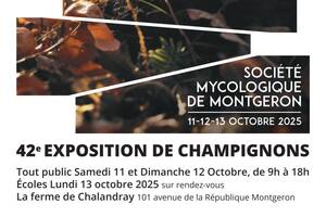photo Exposition de Champignons
