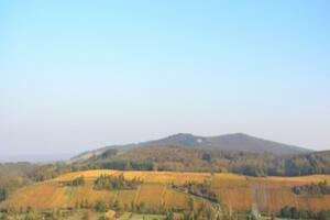 photo RANDONNEE PEDESTRE ENTRE MONTS ET VIGNES