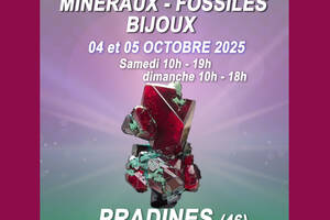photo Salon minéraux, fossiles, bijoux de créateur.
