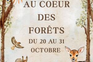 Acti'vacances - Au coeur des forêts