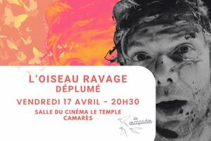 photo L'Oiseau Ravage | Jazz Déplumé