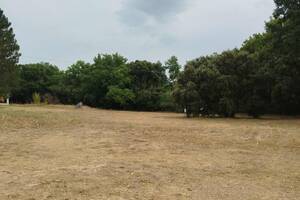 photo vide grenier permanent en pleine nature