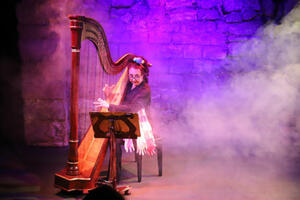 photo Sophie la harpiste – La lune dans les pieds