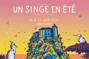 photo Un singe en été