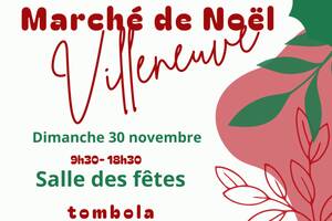 photo Marché de noël de Villeneuve d'Aveyron