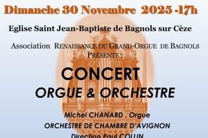 photo concert orgue et orchestre