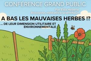 photo Conférence grand public