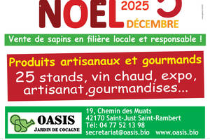 Marché de Noël 2025