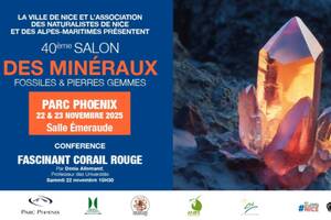 photo 40e Salon des minéraux, fossiles et pierres gemmes