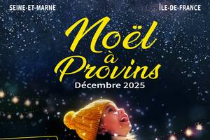 photo Noël à Provins