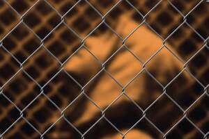 SHAM Remixe (L’Étranger) de Camus [aux Chantilly Follies]